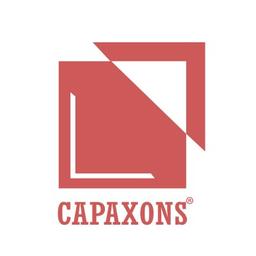Captiosus Axons Logo