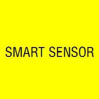 Smart Sensor- Image Intensifier Tube Infrared Detector and Core IR lens Thermal Camera Microdisplay's Logo
