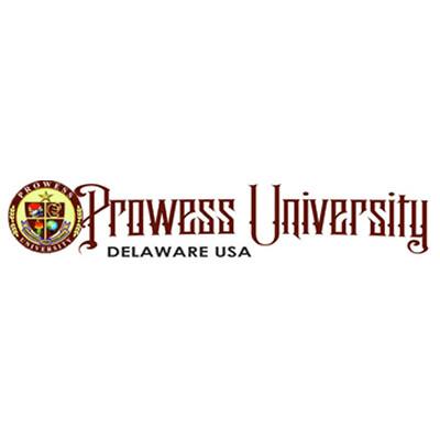 Prowess University's Logo