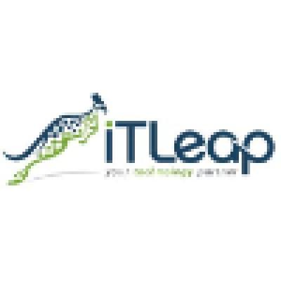 IT Leap - Managed wireless and monitoring specialists Logo