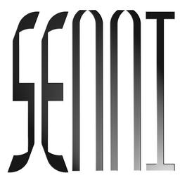 SEAAI Logo