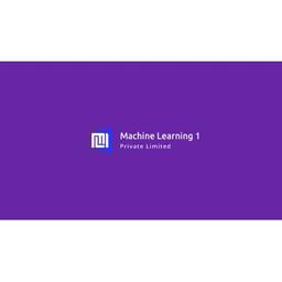 Machine Learning 1 Private Limited Logo