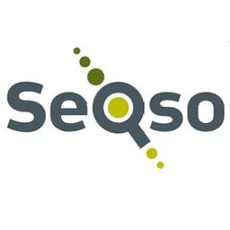 SeQso Logo