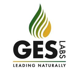 GESLabs Logo