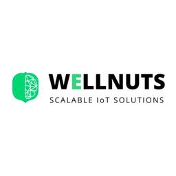 WELLNUTS Logo