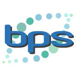 Best Process Solutions Inc. Logo