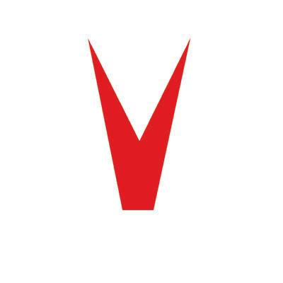 Vivion Inc. Logo