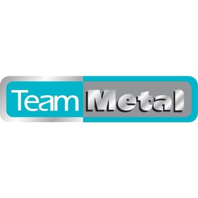 Team Metal (S) Pte Ltd Logo