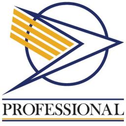 Professional Aviation Services Logo