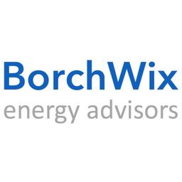 BorchWix Energy Advisors Ltd. Logo