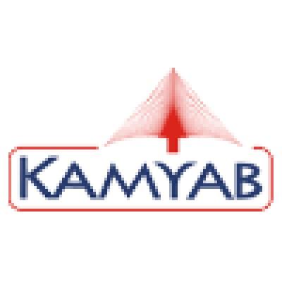 Kamyab Infotech Pvt Ltd Logo