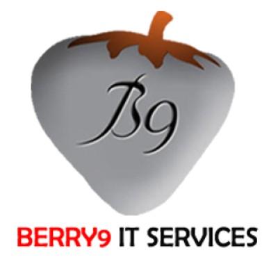 BERRY9 IT SERVICES (B9ITS) Logo