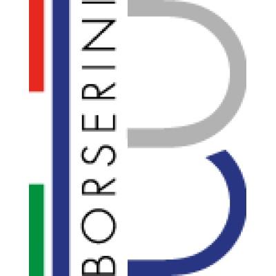 BORSERINI SRL's Logo