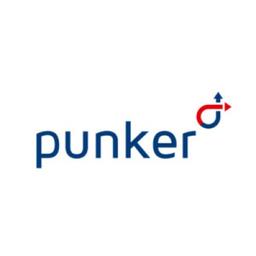 punker LLC Logo