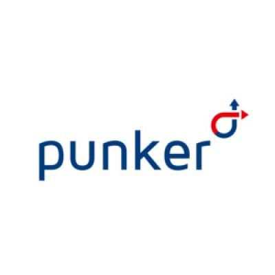 punker LLC Logo