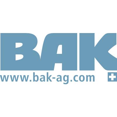 BAK Technology AG Logo