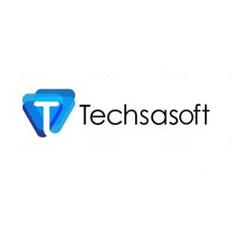 Techsasoft Logo