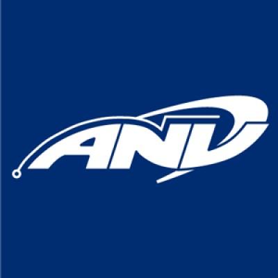 ANV Measurement Systems Logo