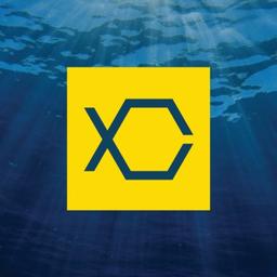 Boxfish Research Logo