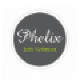 Phelix Info Solution Logo