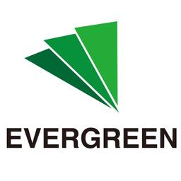 Changhsha Evergreen Electronics Technology Co.Ltd Logo