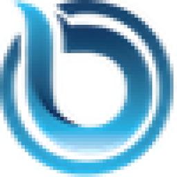 Borncode Technologies Logo
