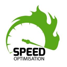 Speed Optimisation Logo