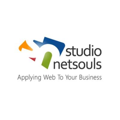 studio NetSouls's Logo