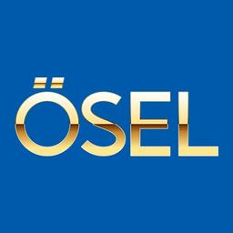 Osel Technology Pvt Ltd Logo
