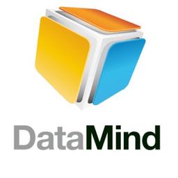 DataMind Logo