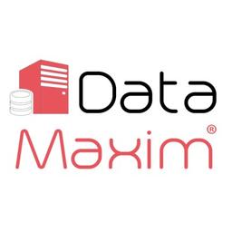 Datamaxim Logo