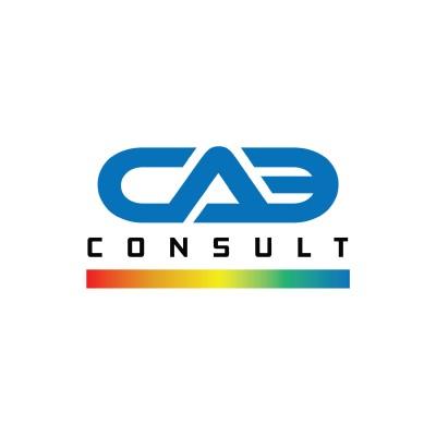 CAE Consult's Logo