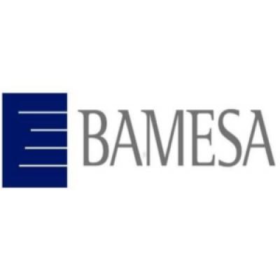 Bamesa's Logo