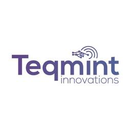 Teqmint Innovations Logo
