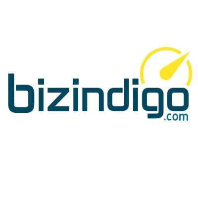 BizIndiGo.com Logo