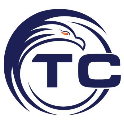 TCecure LLC Logo
