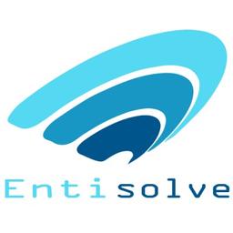 EntiSolve Inc Logo