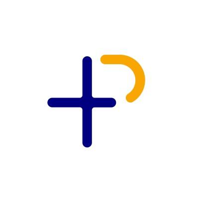 P+ Measurement Services's Logo