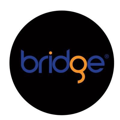 BridgeGIA Logo