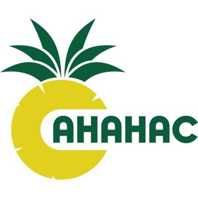 Ananas It Solutions's Logo