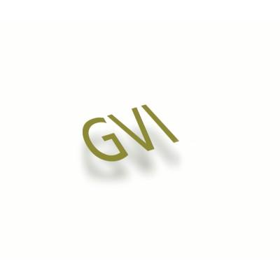 GVI - Video Production in Washington DC Logo
