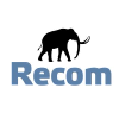 Recom Ice Systems B.V. Logo
