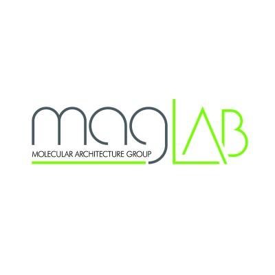 MAG-LAB Logo