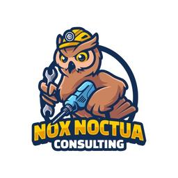 Nox Noctua Consulting Logo