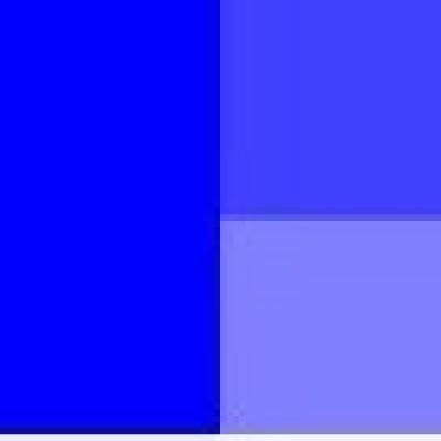 Blue Pixel Software's Logo