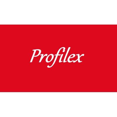 ProfileX Consultants's Logo