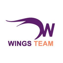 WINGS TEAM Logo