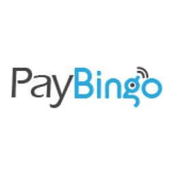 PayBingo Logo