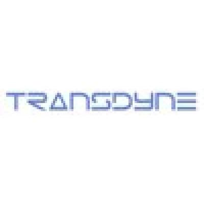 TransDyne IT Services's Logo