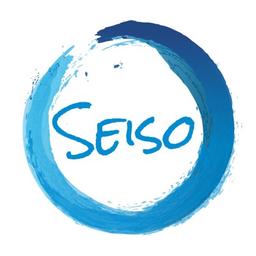 Seiso LLC Logo